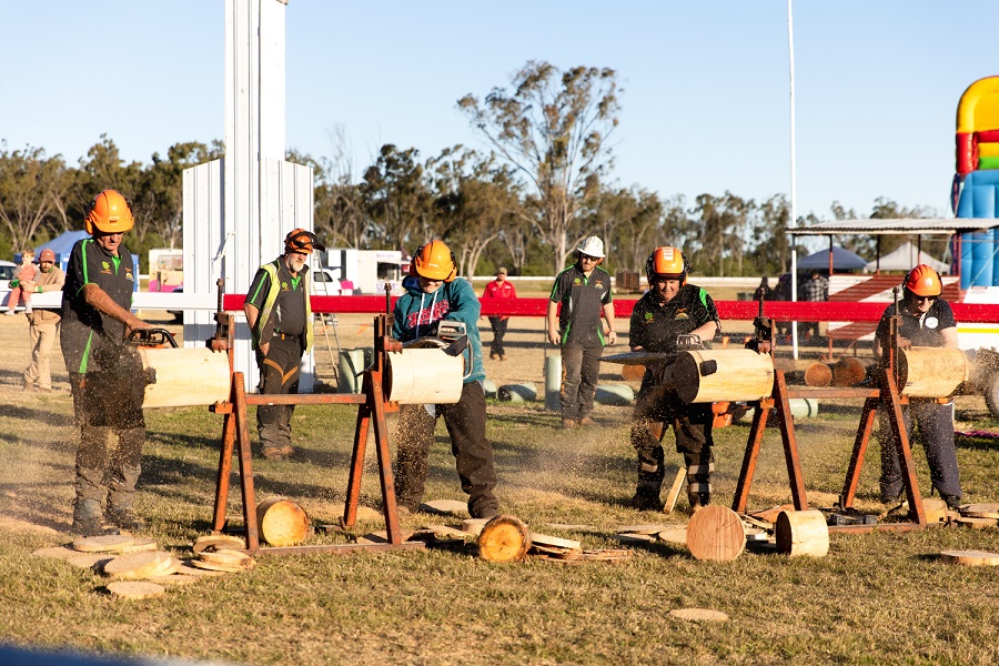 Timbertown 22Amelia-79