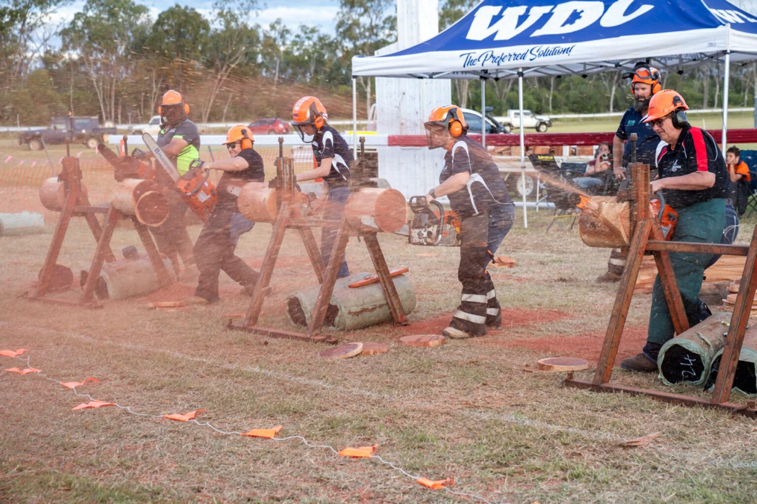 Timbertown24 Web-181 Web