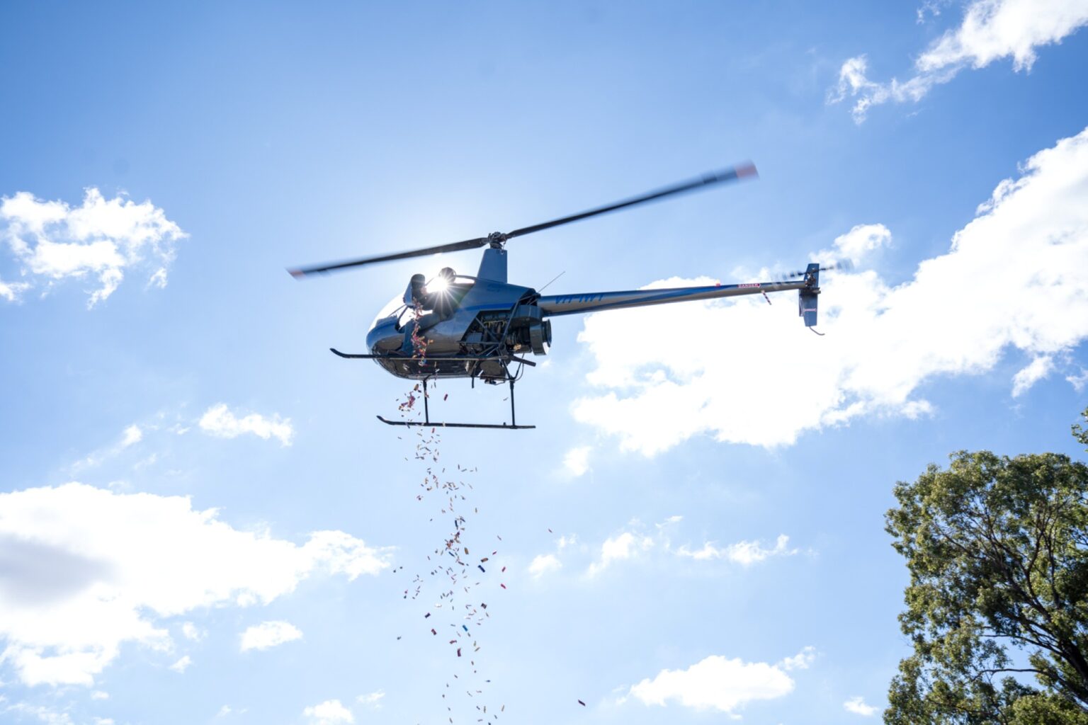 Timbertown24 Web-85 Web